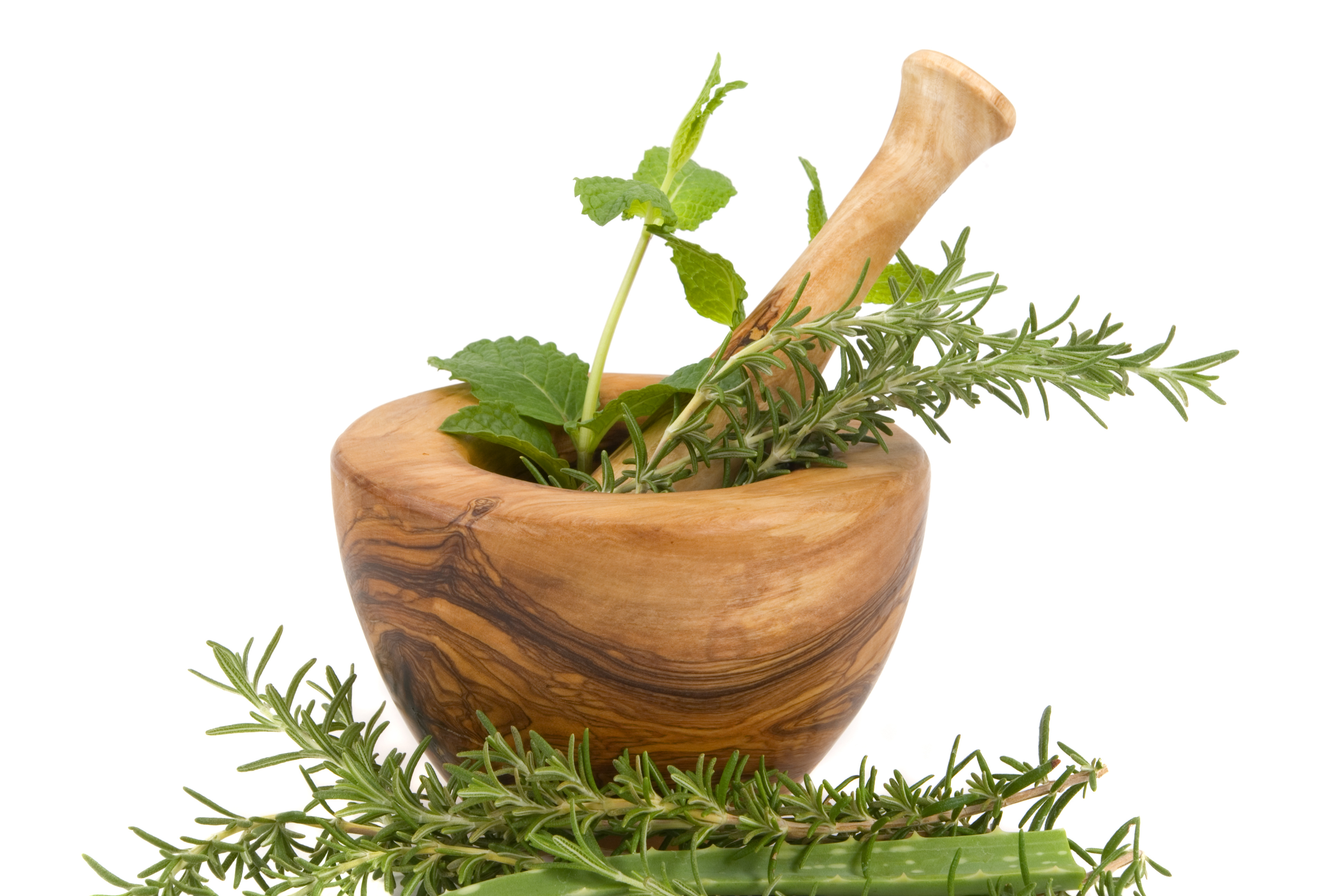 Healing herbs on white background (handcarved olive tree mortar and pestle)